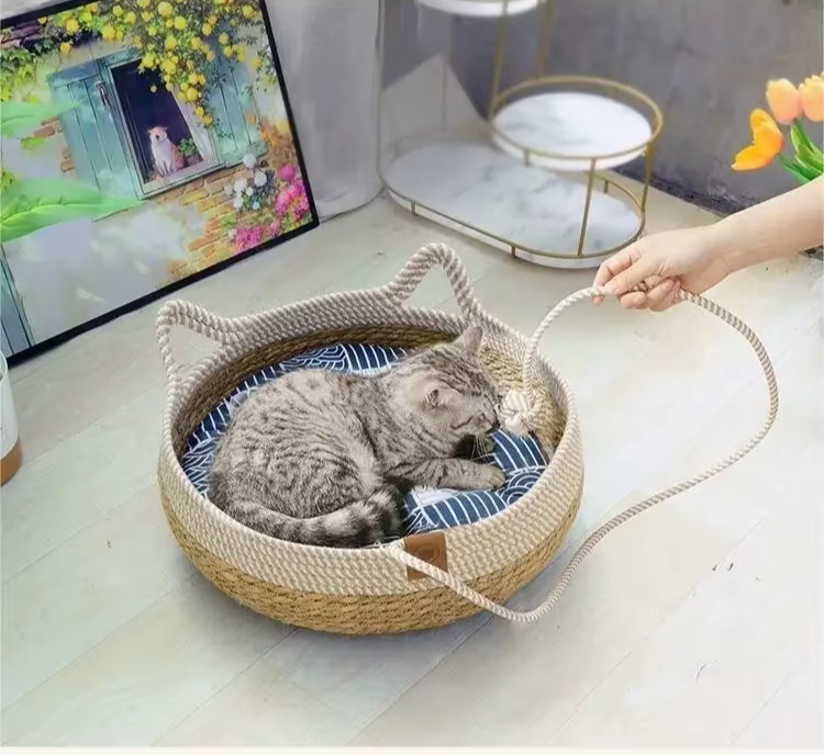 Siesta