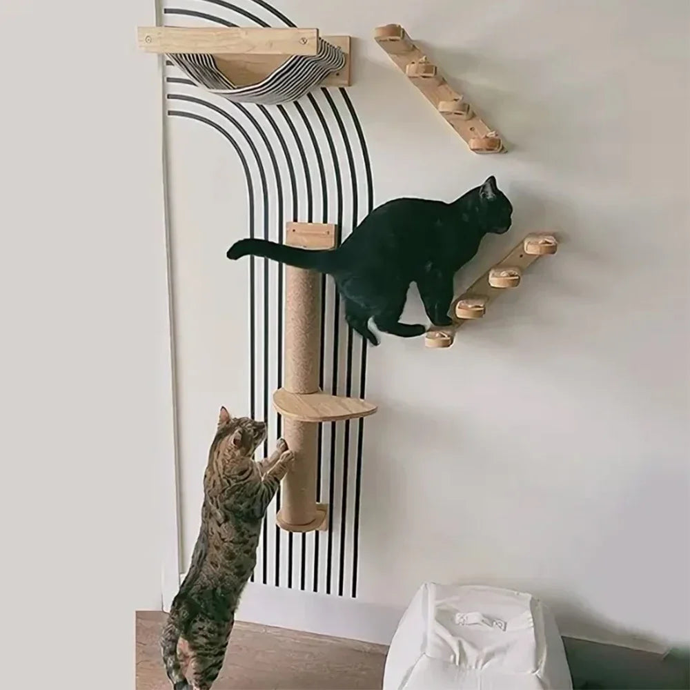 Wallcat