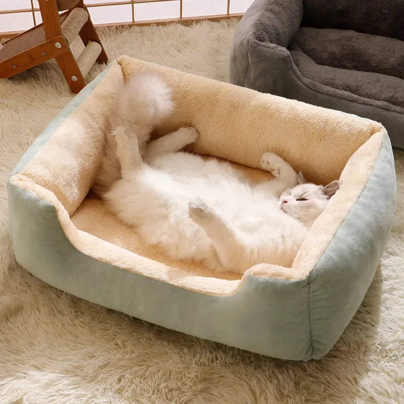Snooze
