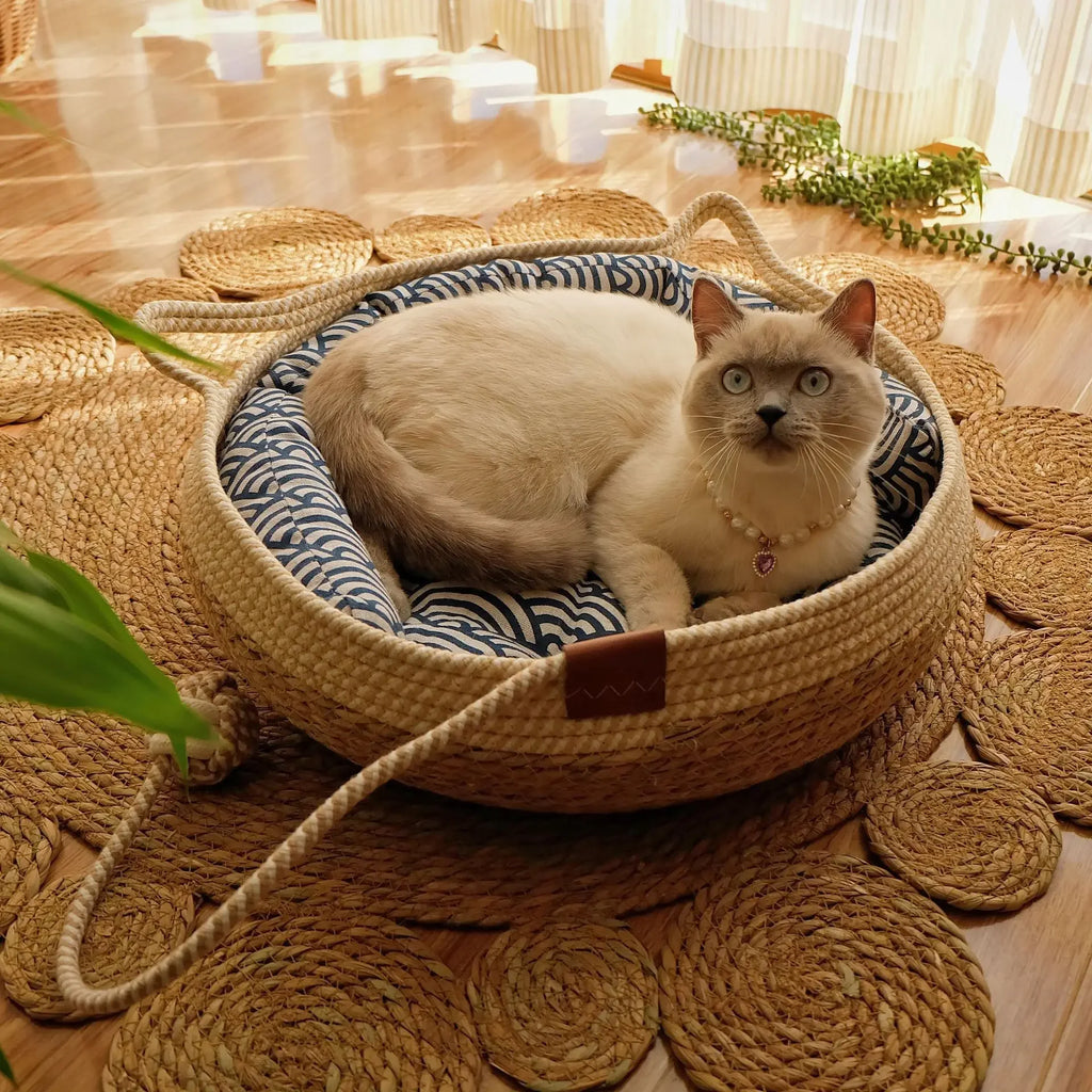 Siesta
