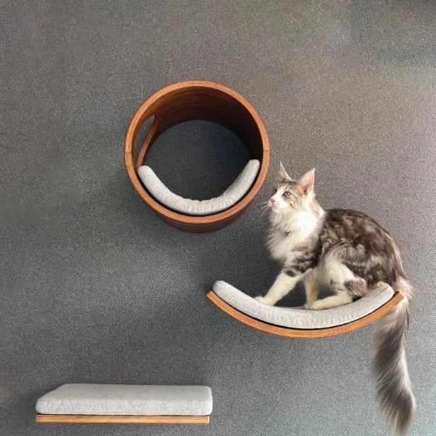 Catloft