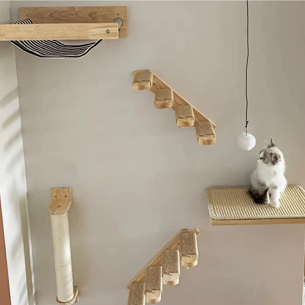 Wallcat