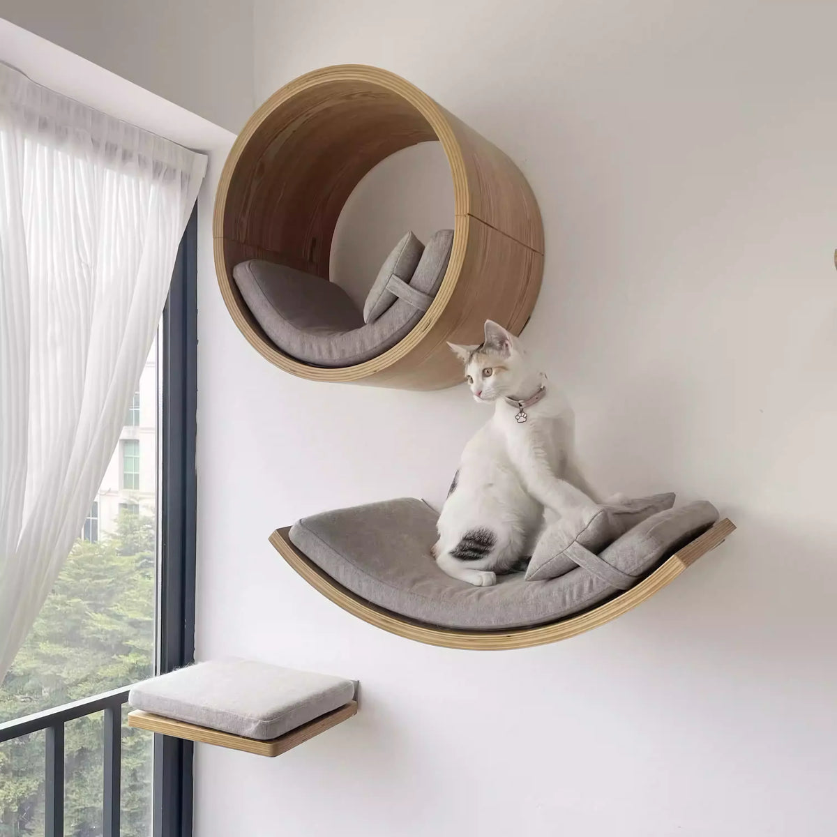 Catloft