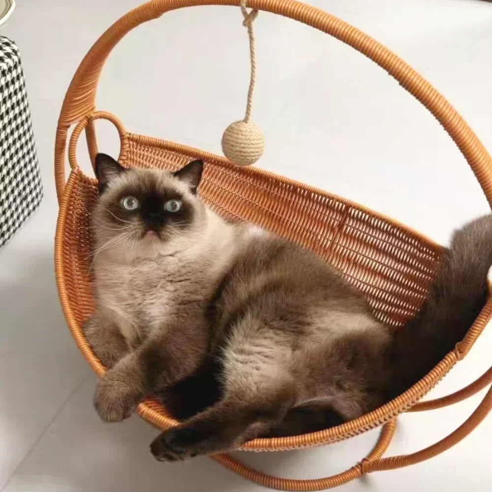 Hammock