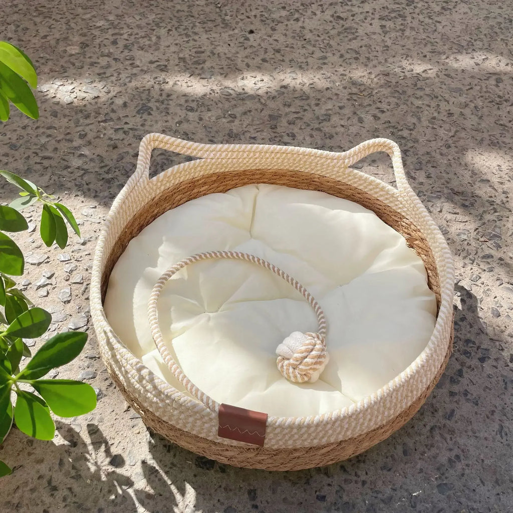 Siesta