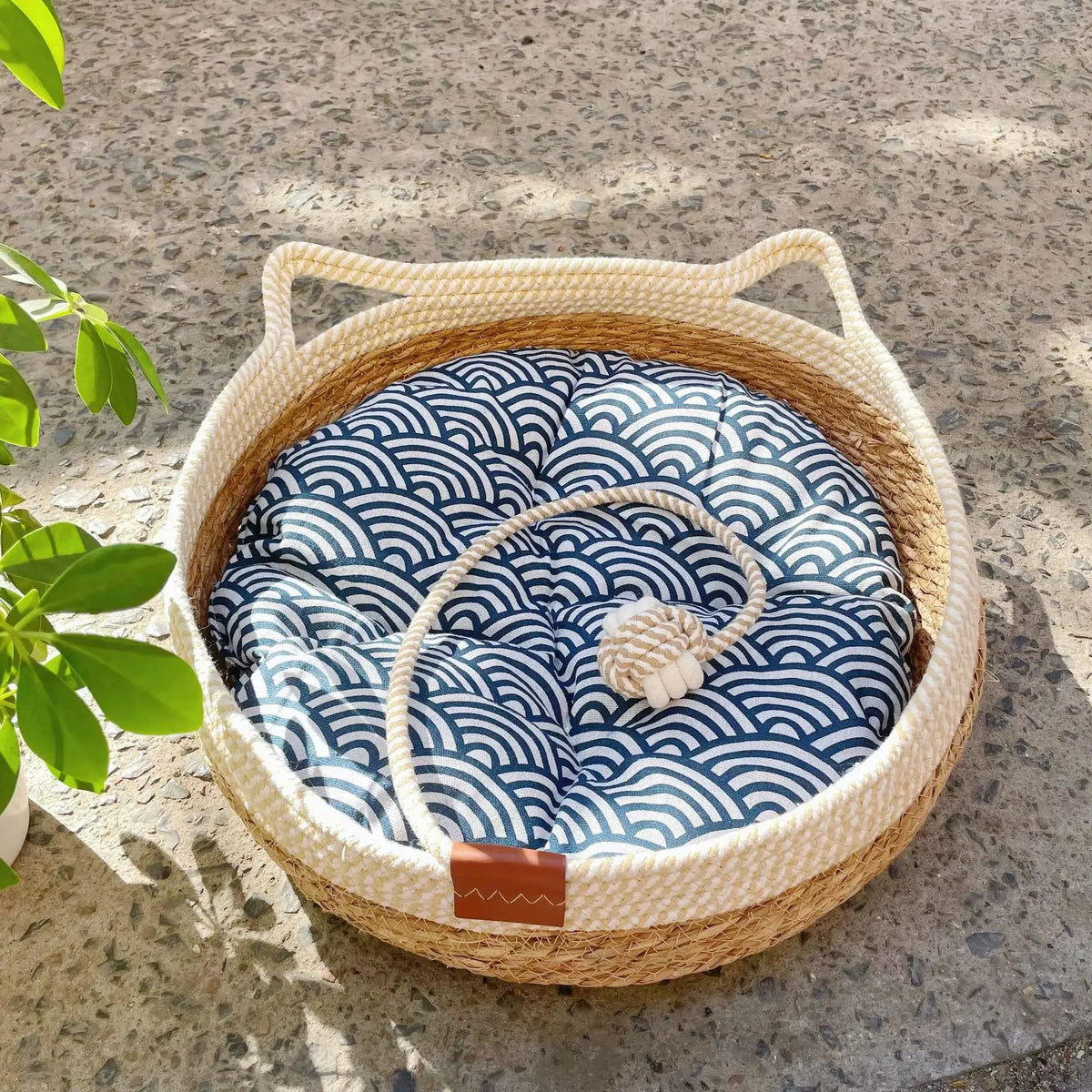 Siesta